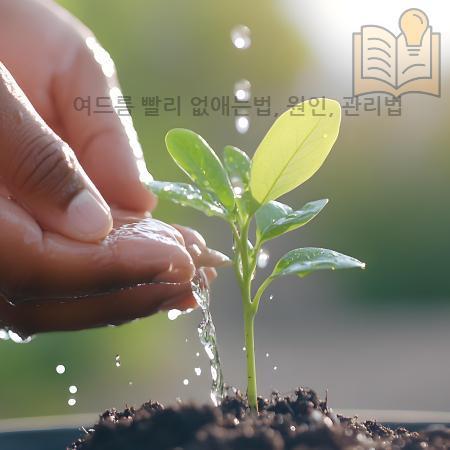 5.여드름 빨리 없애는법 원인 관리법
