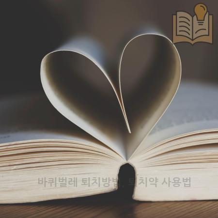 2.바퀴벌레 퇴치방법 퇴치약 사용법