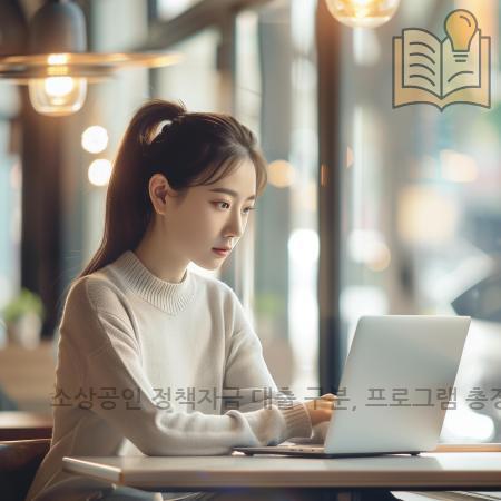 2.소상공인 정책자금 대출 구분 프로그램 총정리